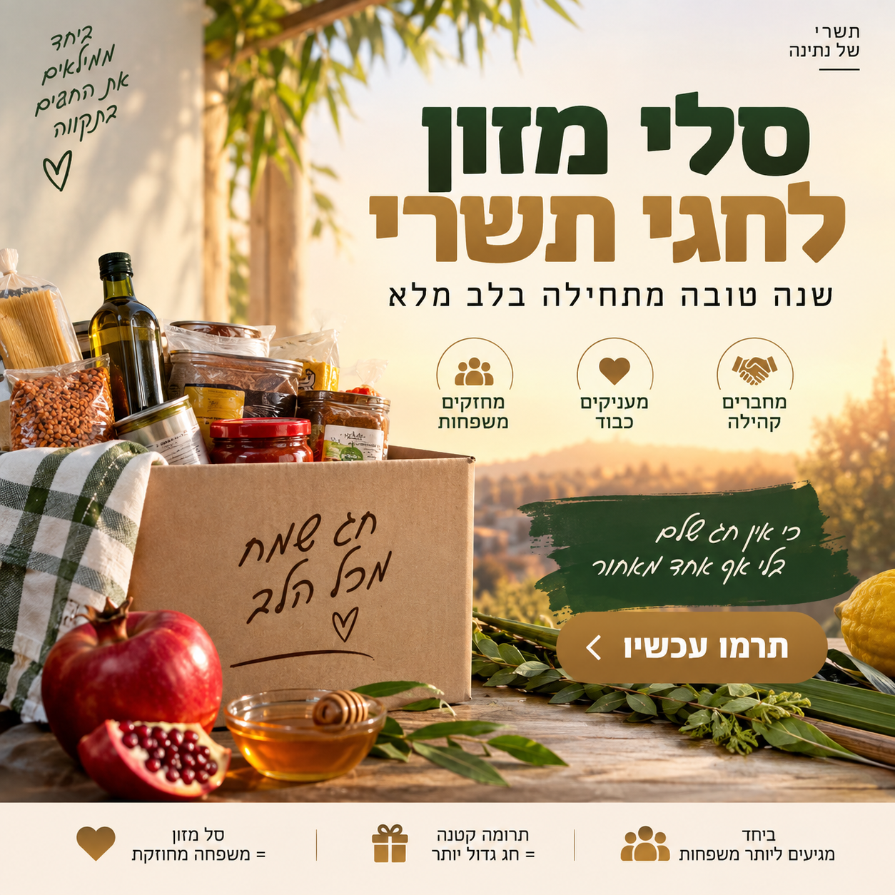 תמונת קמפיין 1